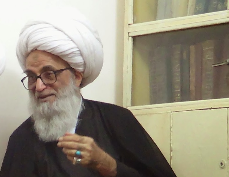 المرجع النجفي: الزهراء (ع) هي المثال الأَعلى والأطهر والأَزكى لإقتداء الجميع
